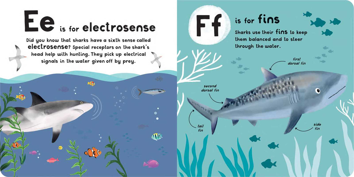 Two pages from a children's book about sharks, one showing an illustration of a shark with text about electro-sense, the other showing a shark with text about fins.