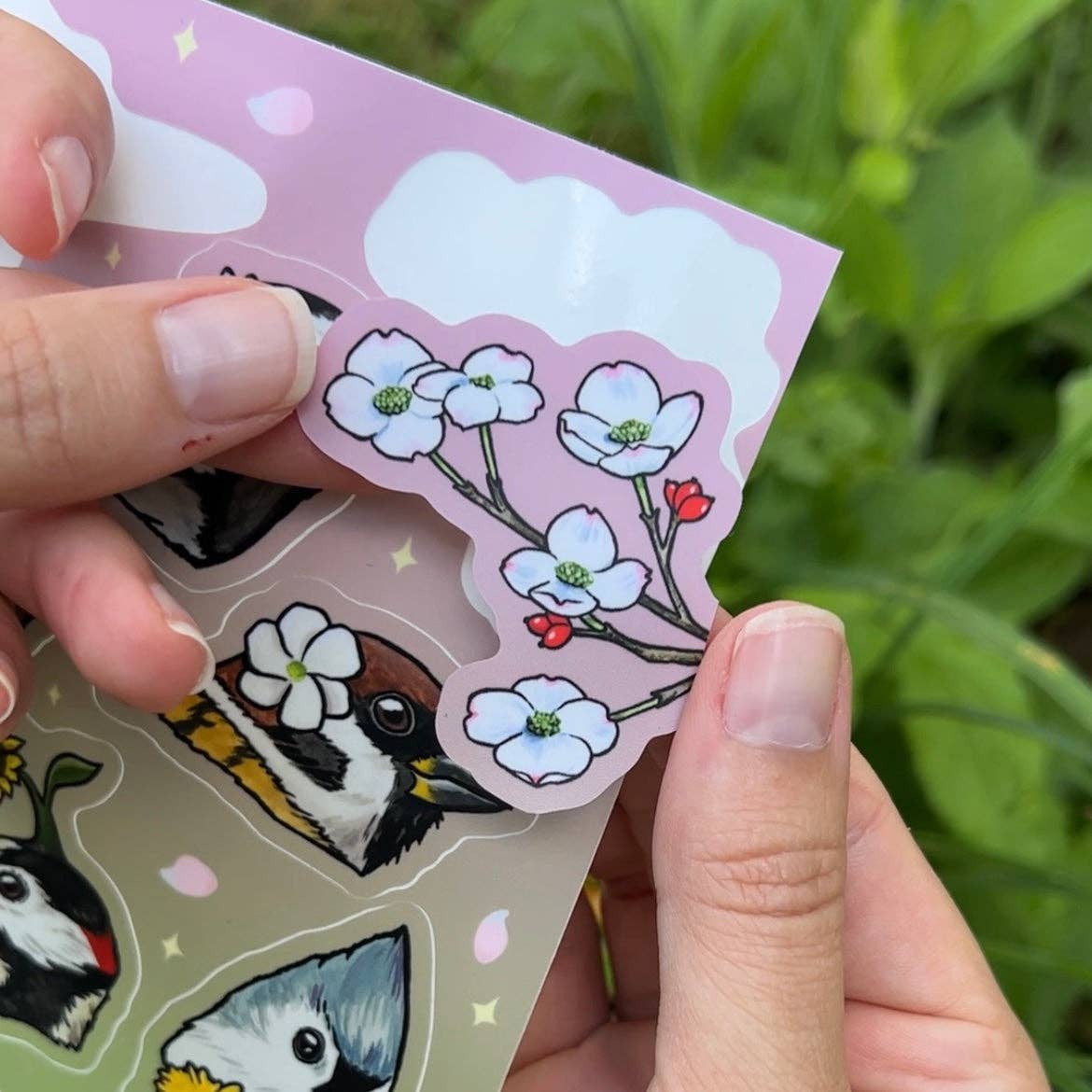 Hand holding a sheet of stickers with birds and flowers against a natural background