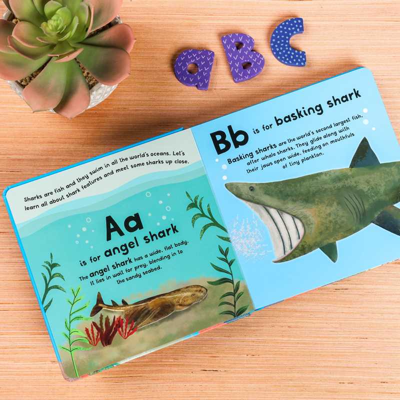 Educational book about sharks on a wooden surface with letters and plant.