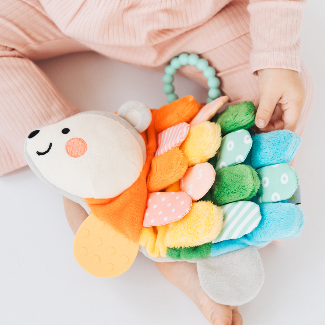 Hedgie Sensory Toy