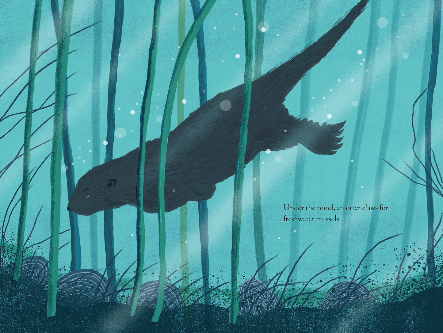 Over and Under the Pond