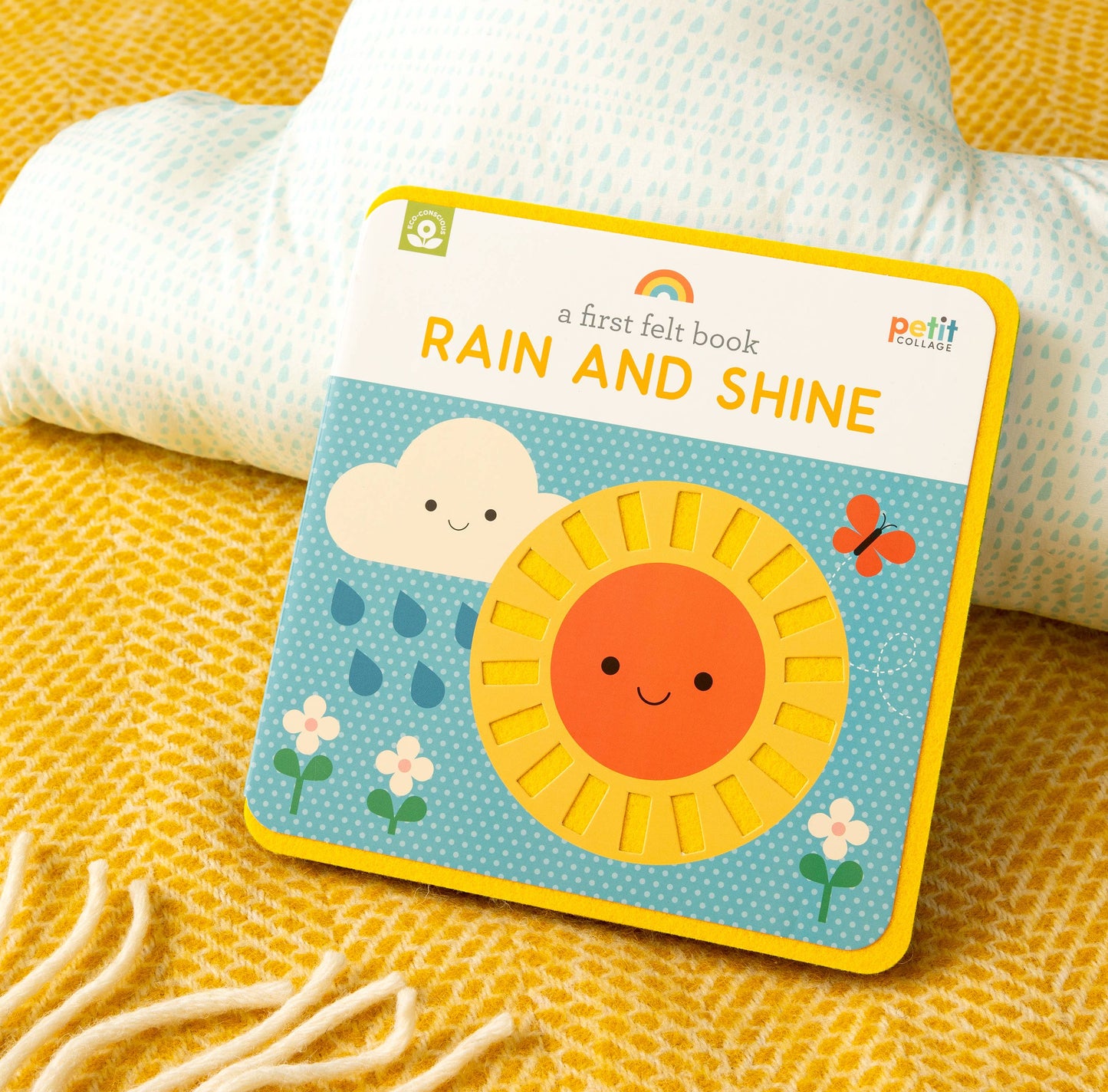 Rain and Shine: A First Felt Book: