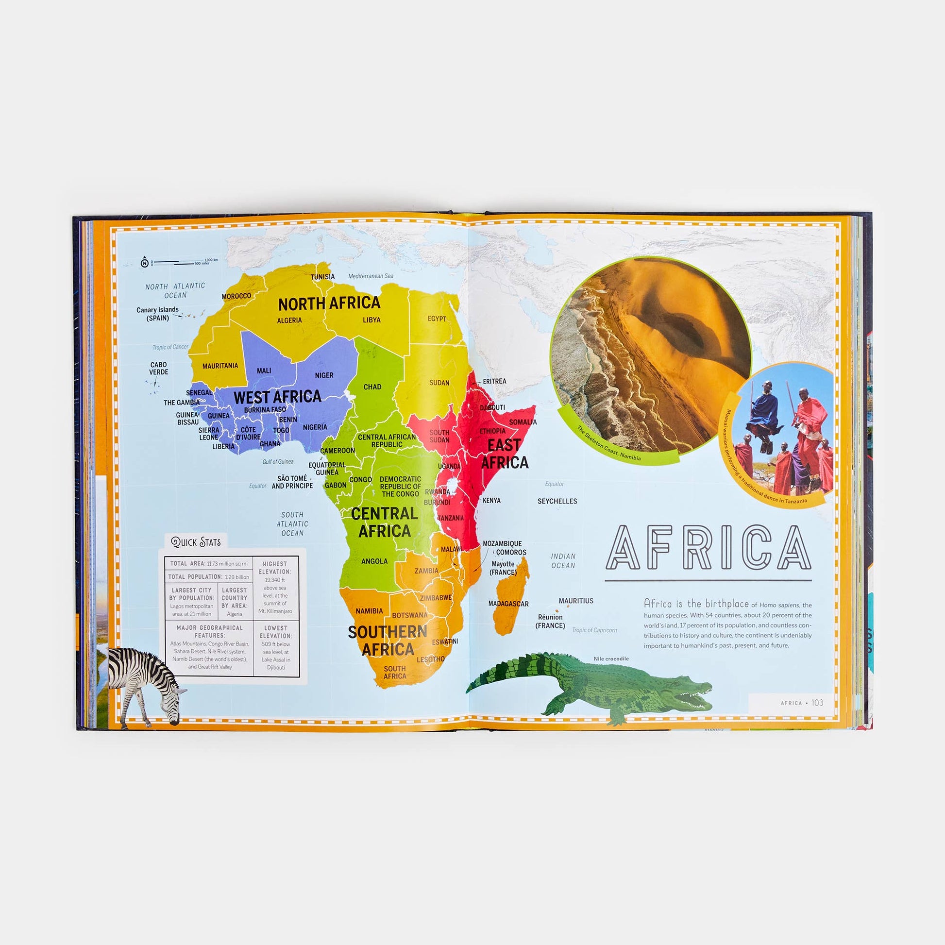 Colorful map of Africa with various regions highlighted on a white background