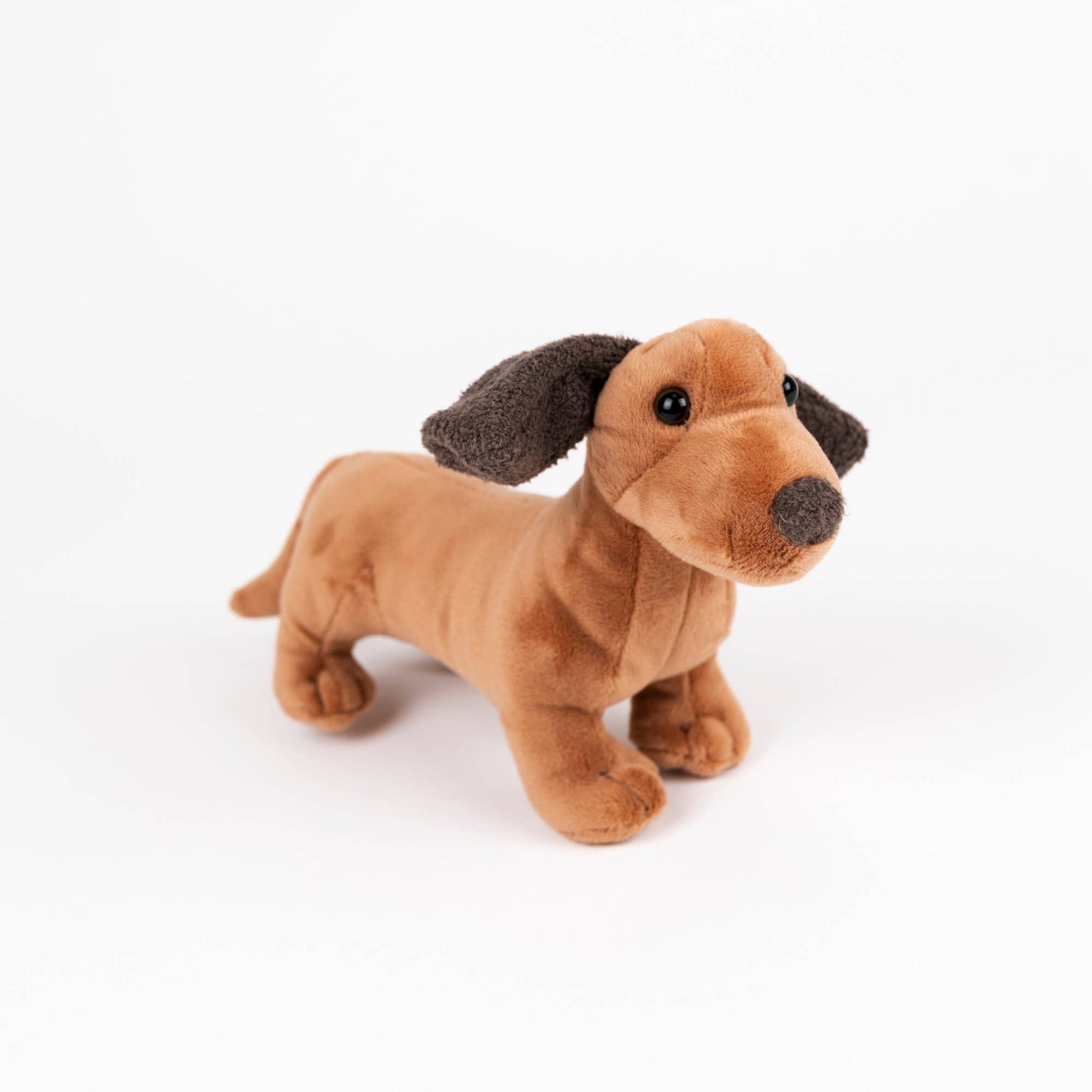 A brown dachshund plush toy with dark brown floppy ears, black eyes, and a dark brown nose, standing on a white background.