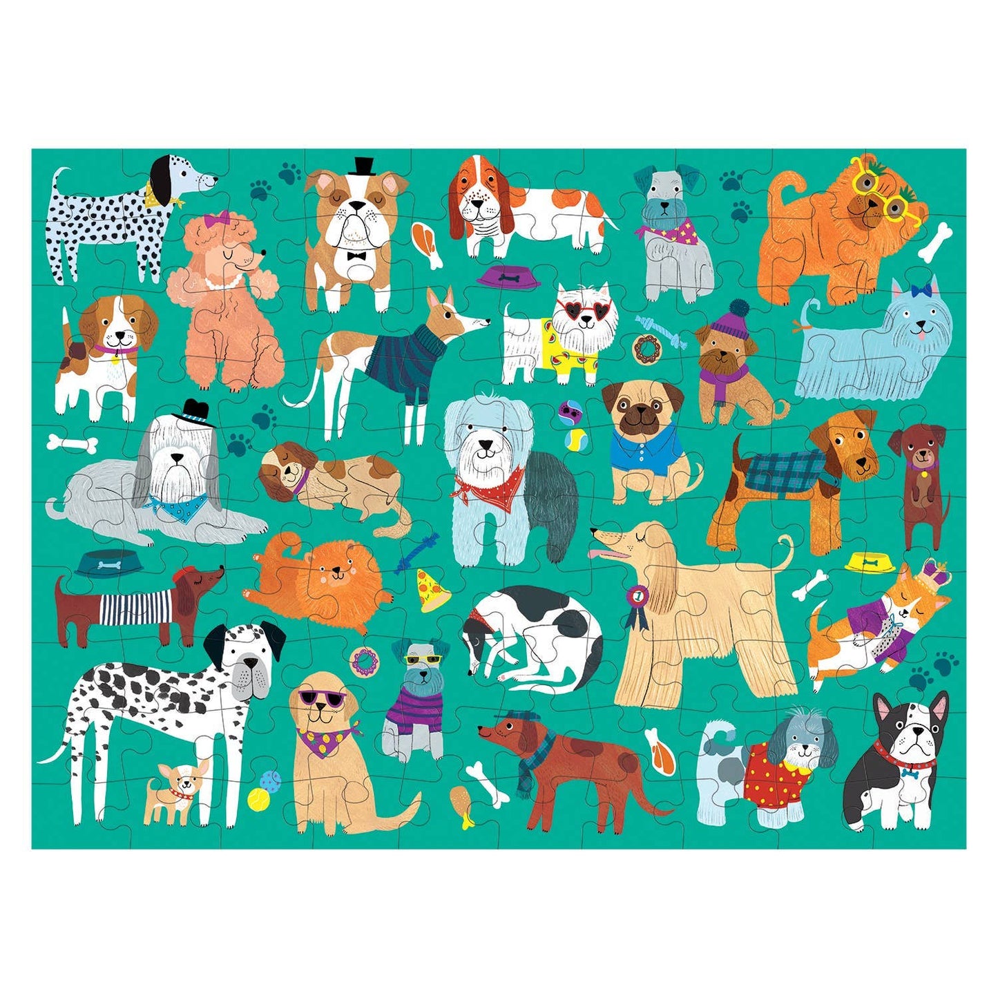 Illustrations of various dogs in different poses and outfits on a teal background