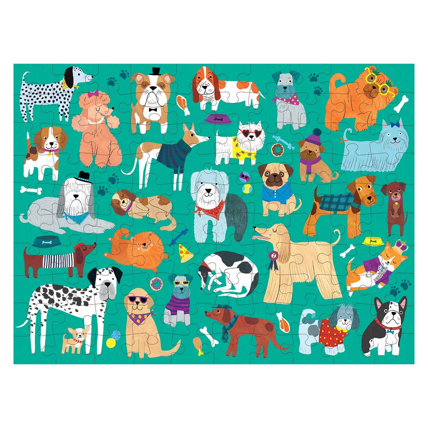 Illustrations of various dogs in different poses and outfits on a teal background