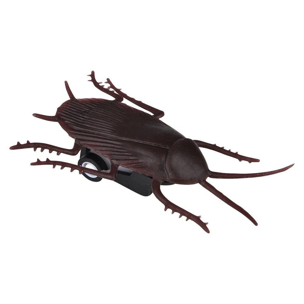 Speedy Cockroach
