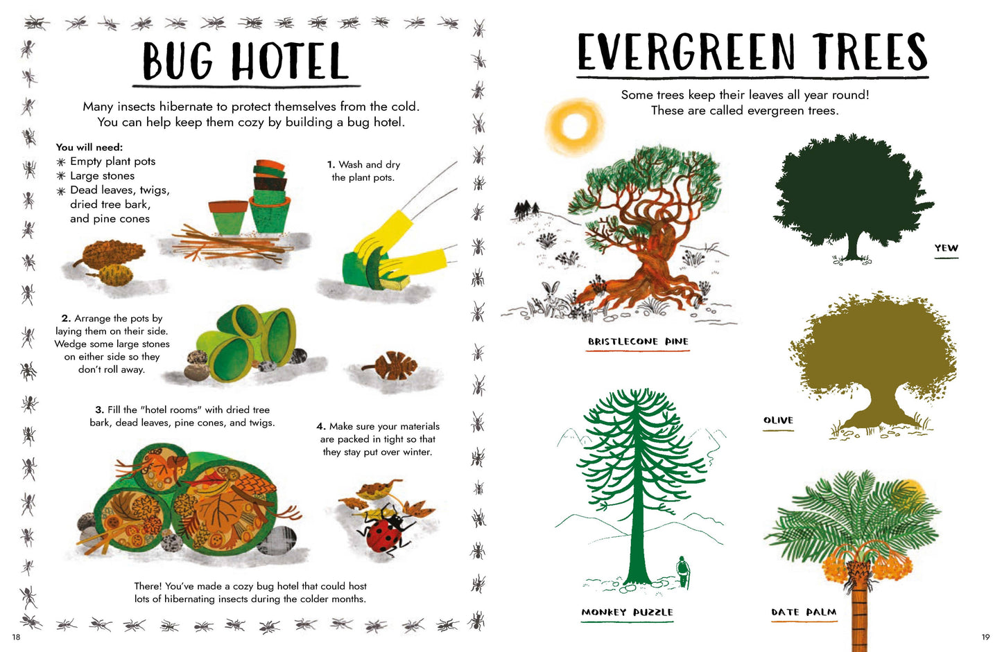 A two-page educational craft kit layout titled 'Bug Hotel' and 'Evergreen Trees'. The left page shows instructions for building a bug hotel with illustrated materials like pine cones, twine, and a small house.