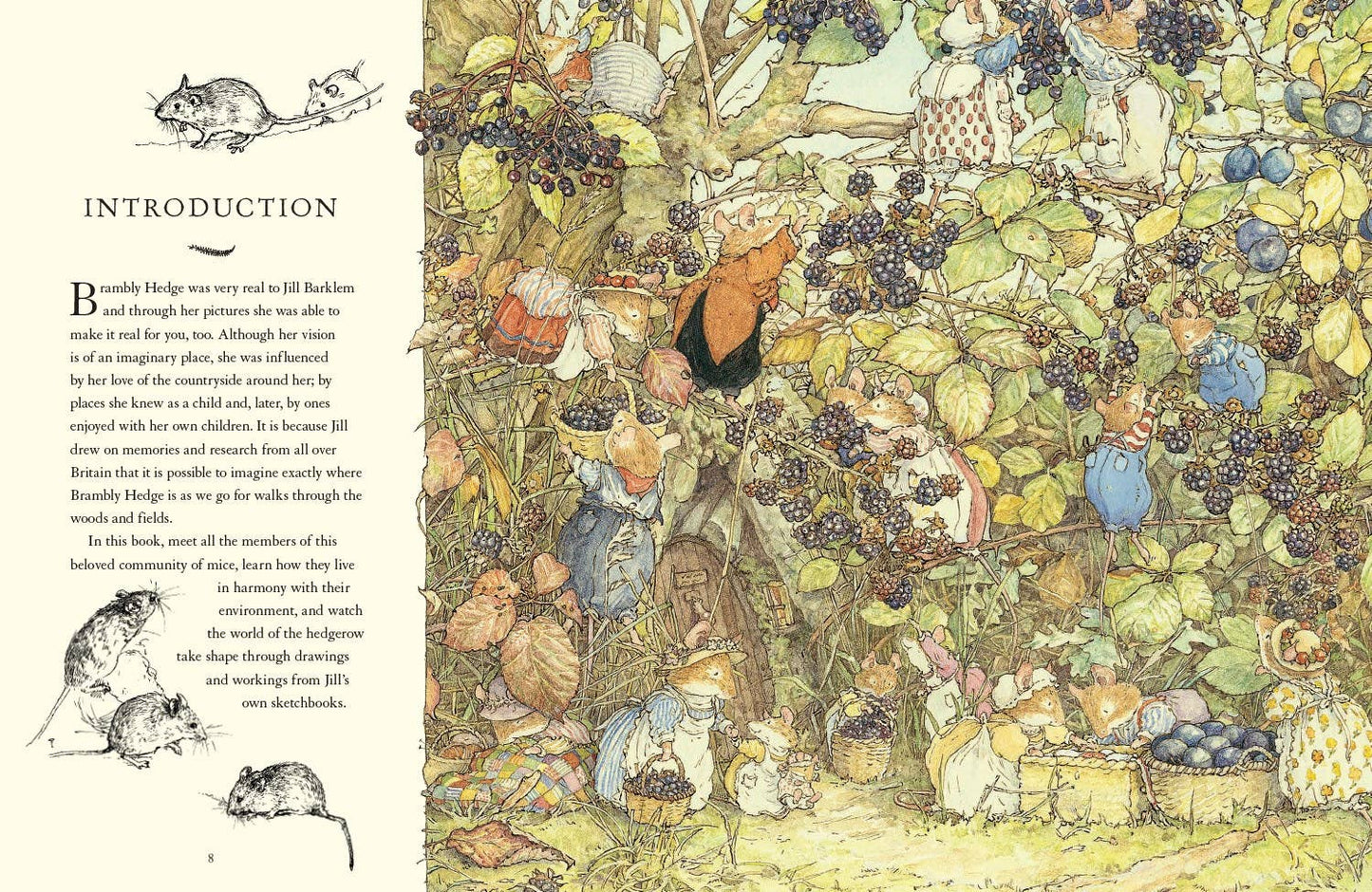 A Visit to Brambly Hedge