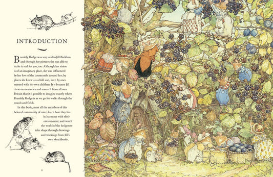 A Visit to Brambly Hedge