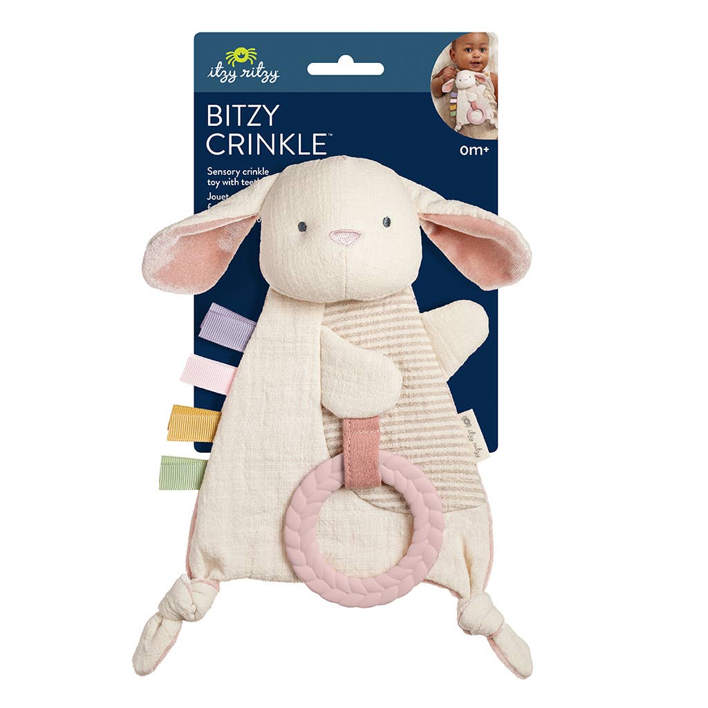 Dino Crinkle Toy with Teether