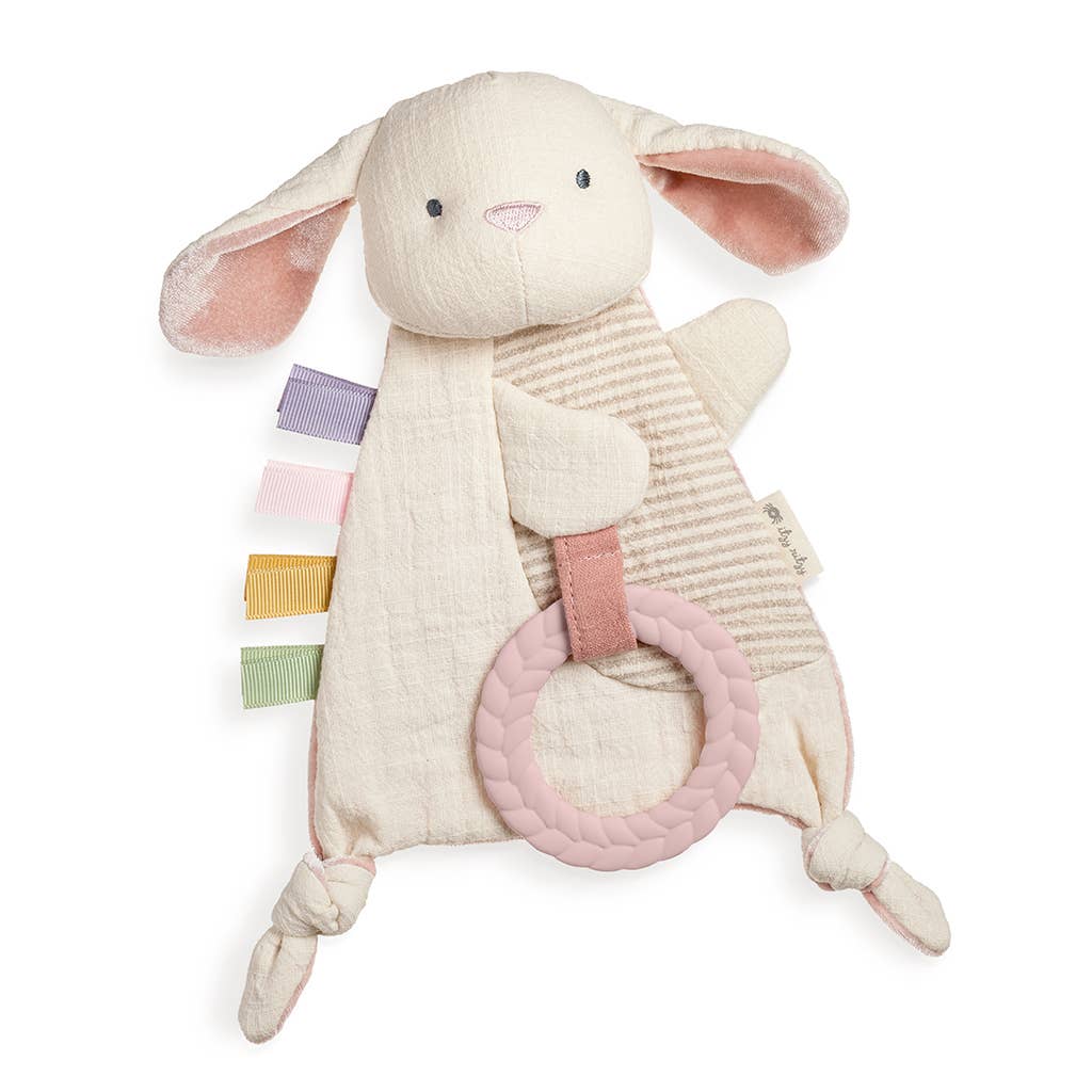 Dino Crinkle Toy with Teether