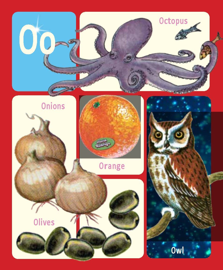Educational card with illustrations of an octopus, owl, onions, orange, and olives on a red background.