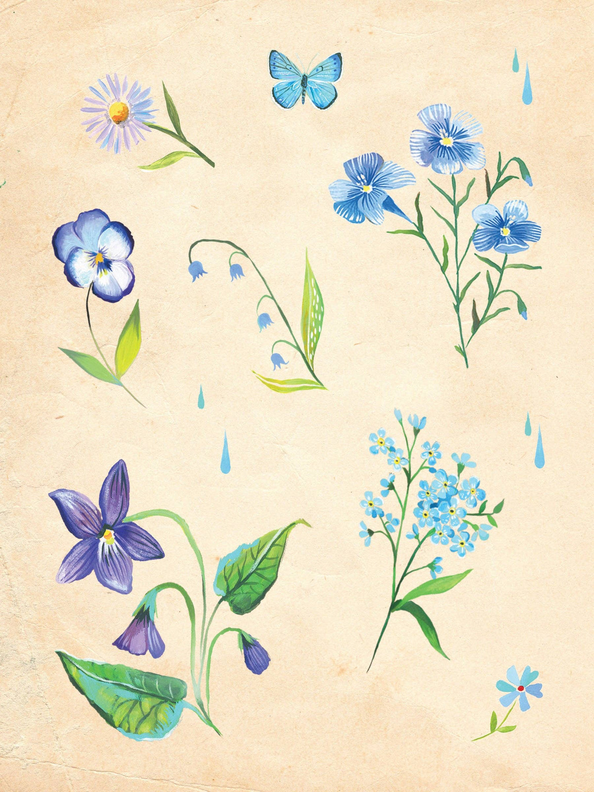 Illustrations of blue flowers and a butterfly on a beige background