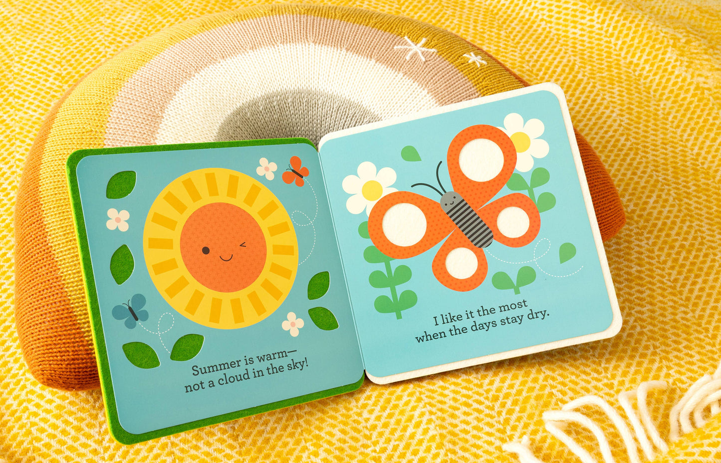 Rain and Shine: A First Felt Book: