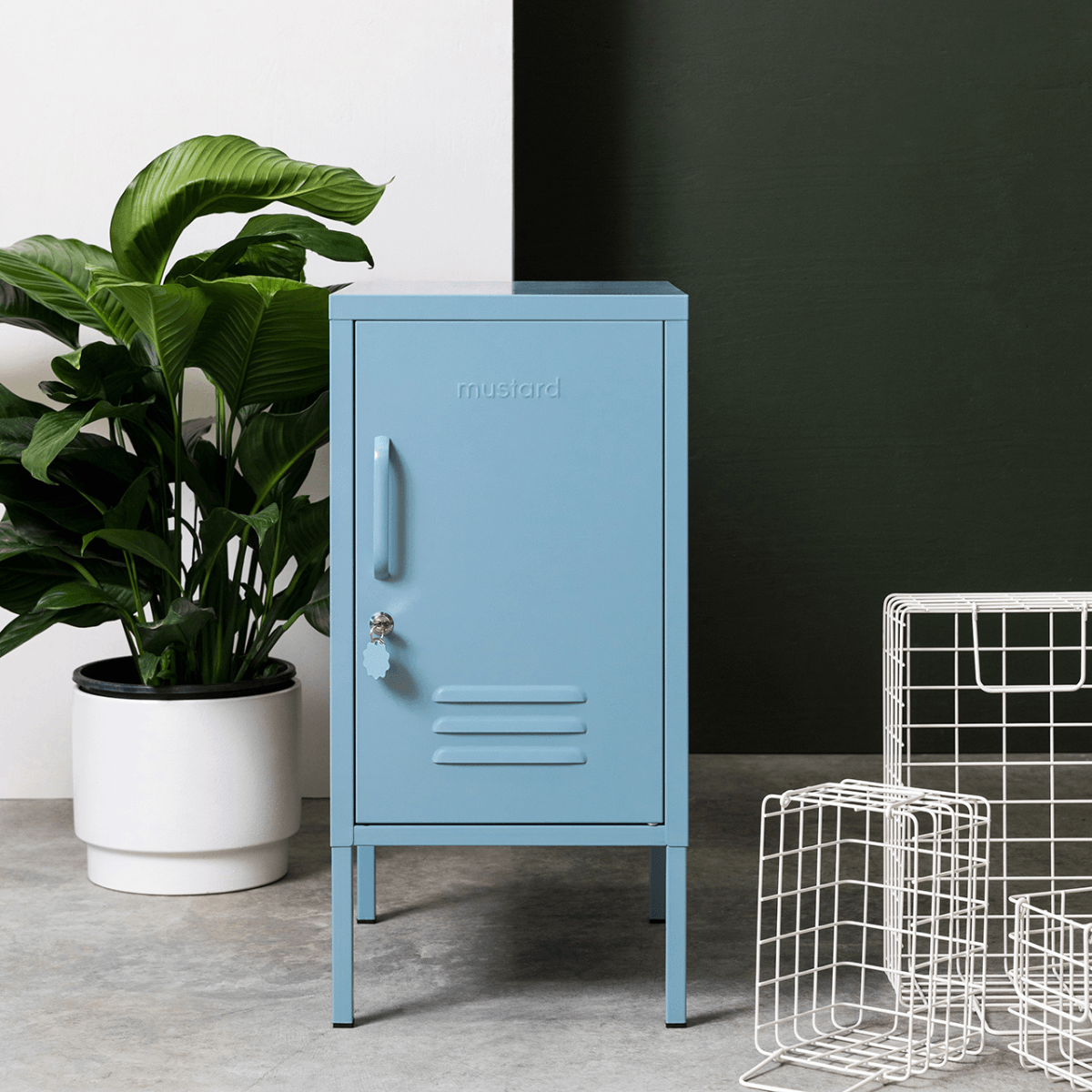 Blue metal cabinet next to a potted plant and wire baskets on a gray floor.
