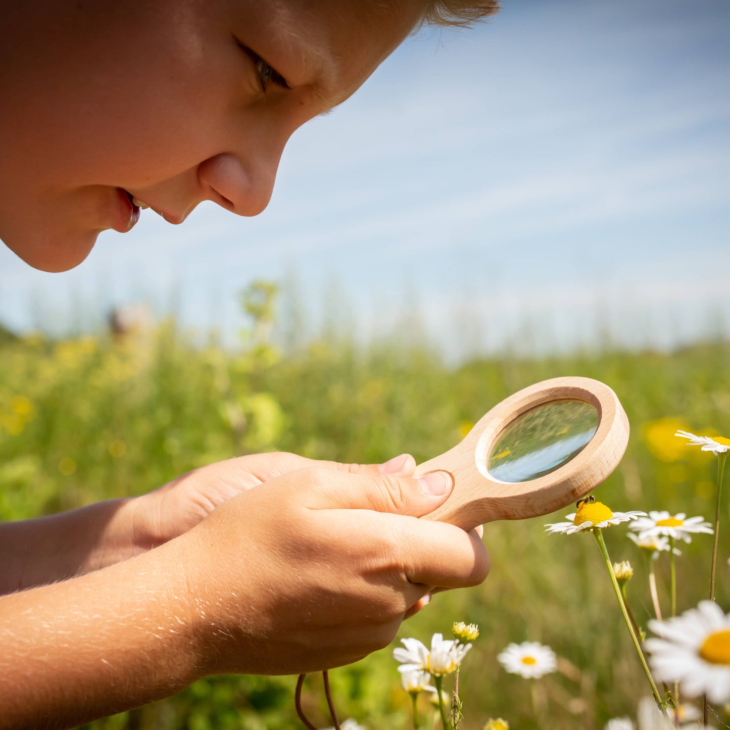 Dual Magnifier