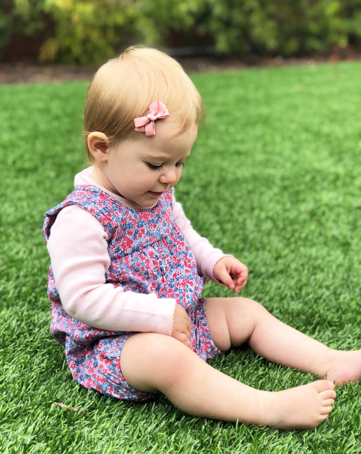 Pink Carnival- 5 Grosgrain Bow Snap Clips