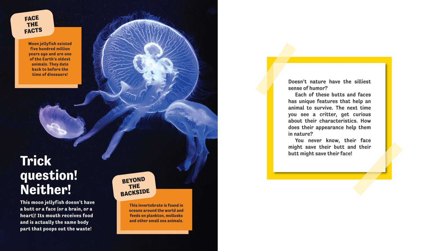 Butt or Face? Volume 2