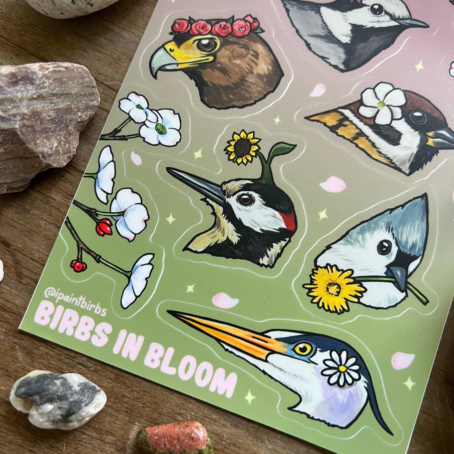 Sheet of 'Birds in Bloom' stickers with various bird illustrations on a wooden surface.