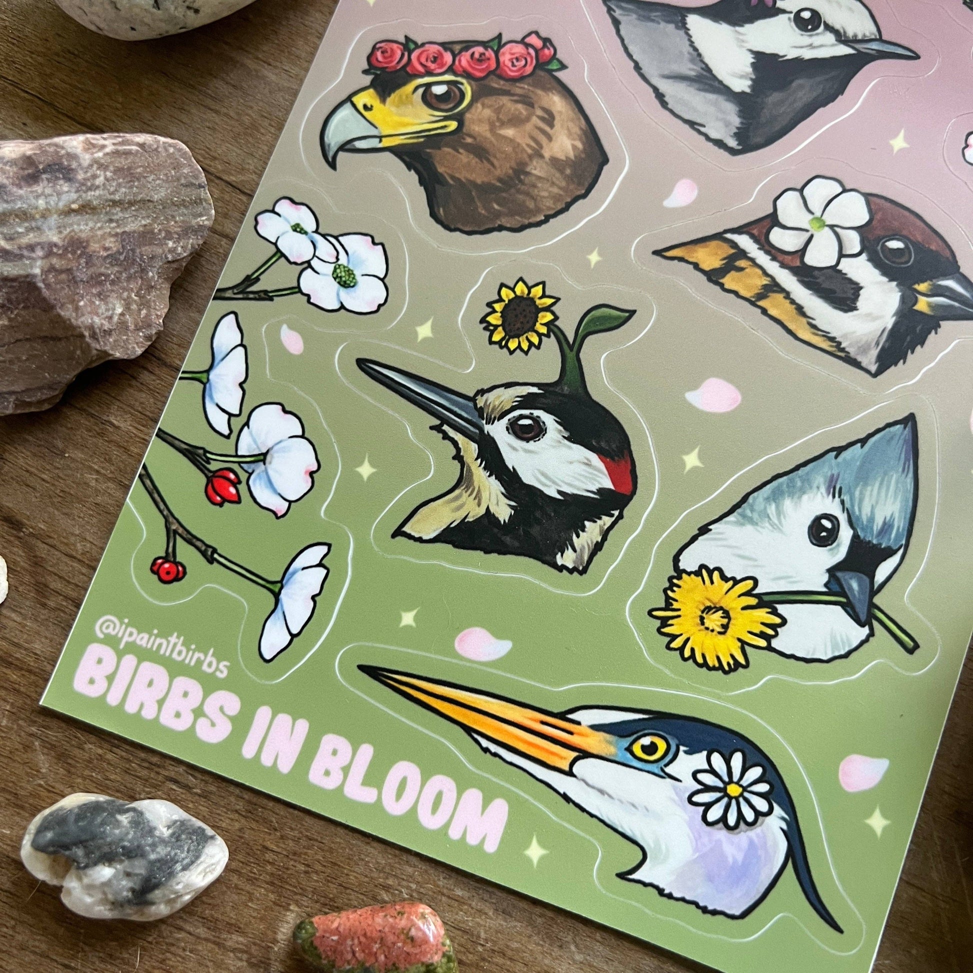 Sheet of 'Birds in Bloom' stickers with various bird illustrations on a wooden surface.