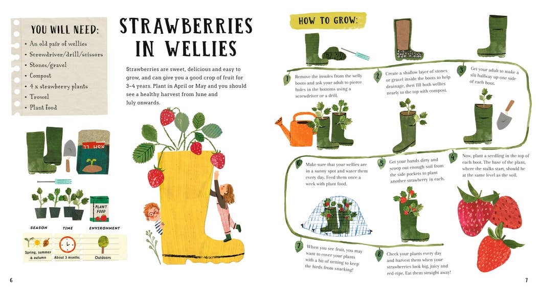 Illustration on how to grow strawberries in wellies with text and graphics.