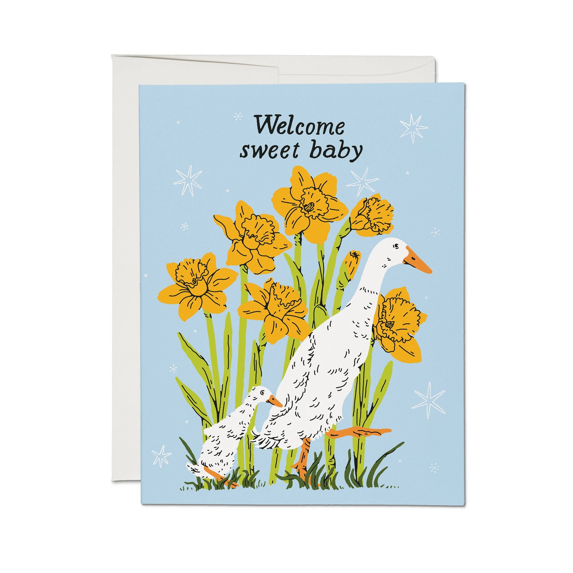 Greeting card with ducks and daffodils on a blue background