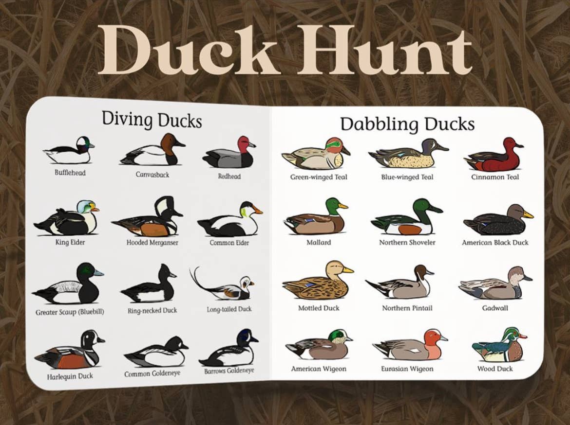 Duck Hunt
