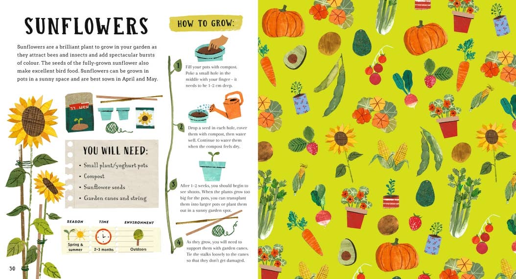 Illustrated book page about sunflowers with gardening information and patterns on a yellow background.