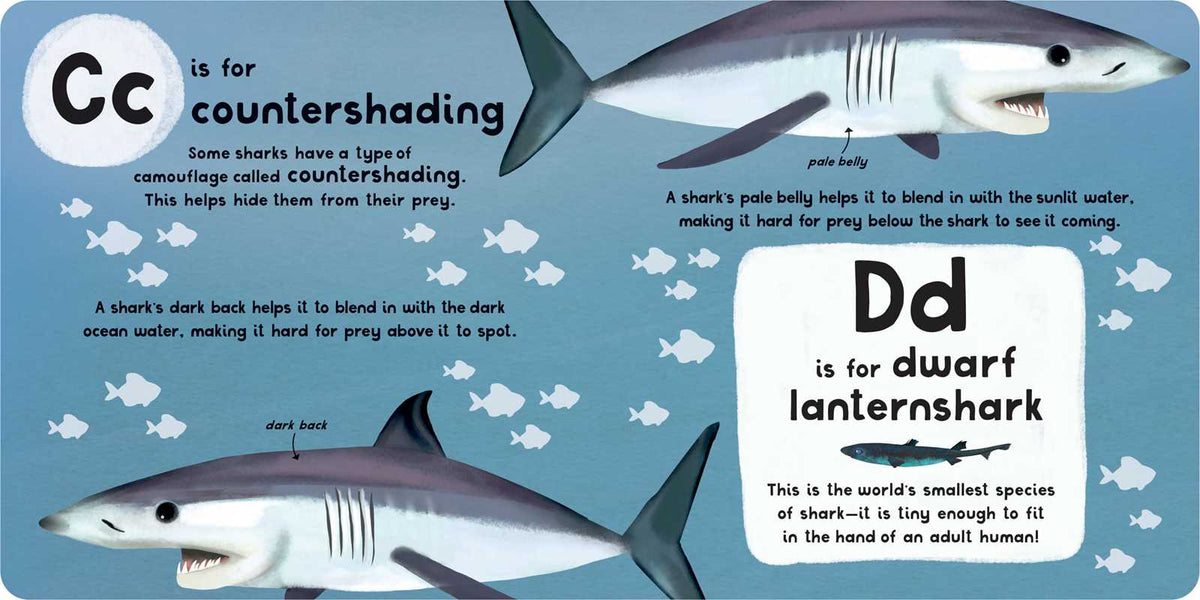 Educational illustration about shark countershading and dwarf lanternshark with text labels on a blue background.