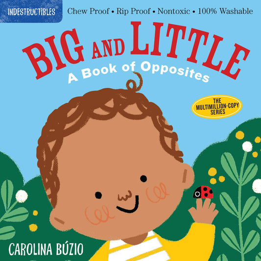 Big and Little: A Book of Opposites : Indestructibles