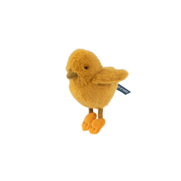 Baby Chick- All Around the World