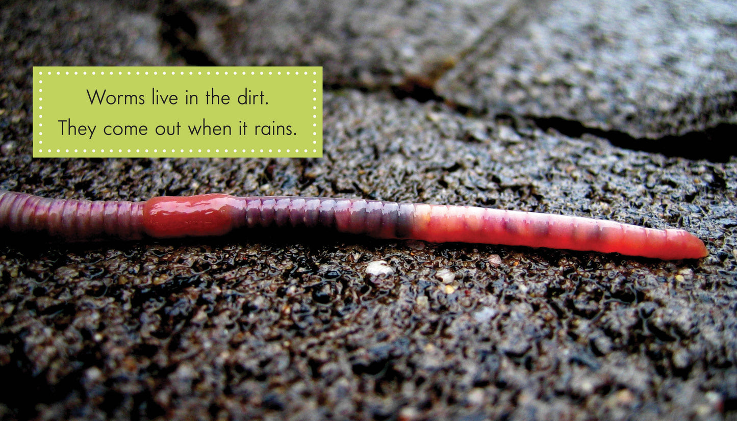 Worms