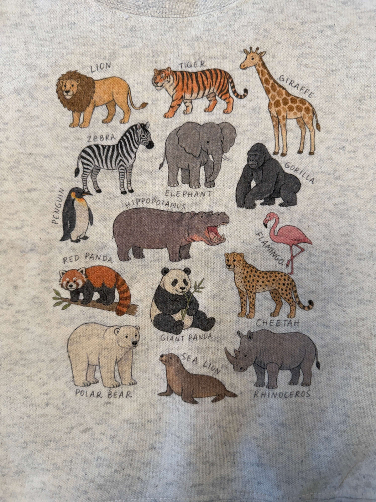 Up close detail of safari animals drawn no a heathered oatmeal sweatshirt. The animals are identified with handwritten  text, 