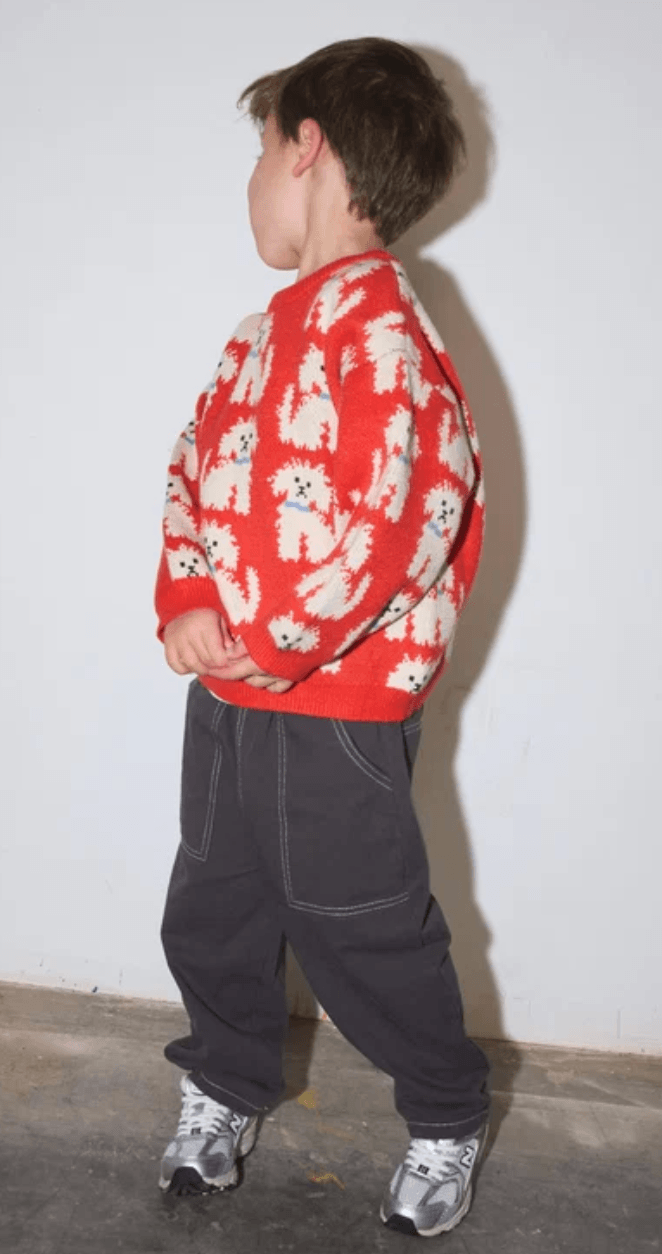 A child standing in profile wearing a red knit sweater with a white dog pattern, dark gray pants, and silver sneakers against a plain wall.