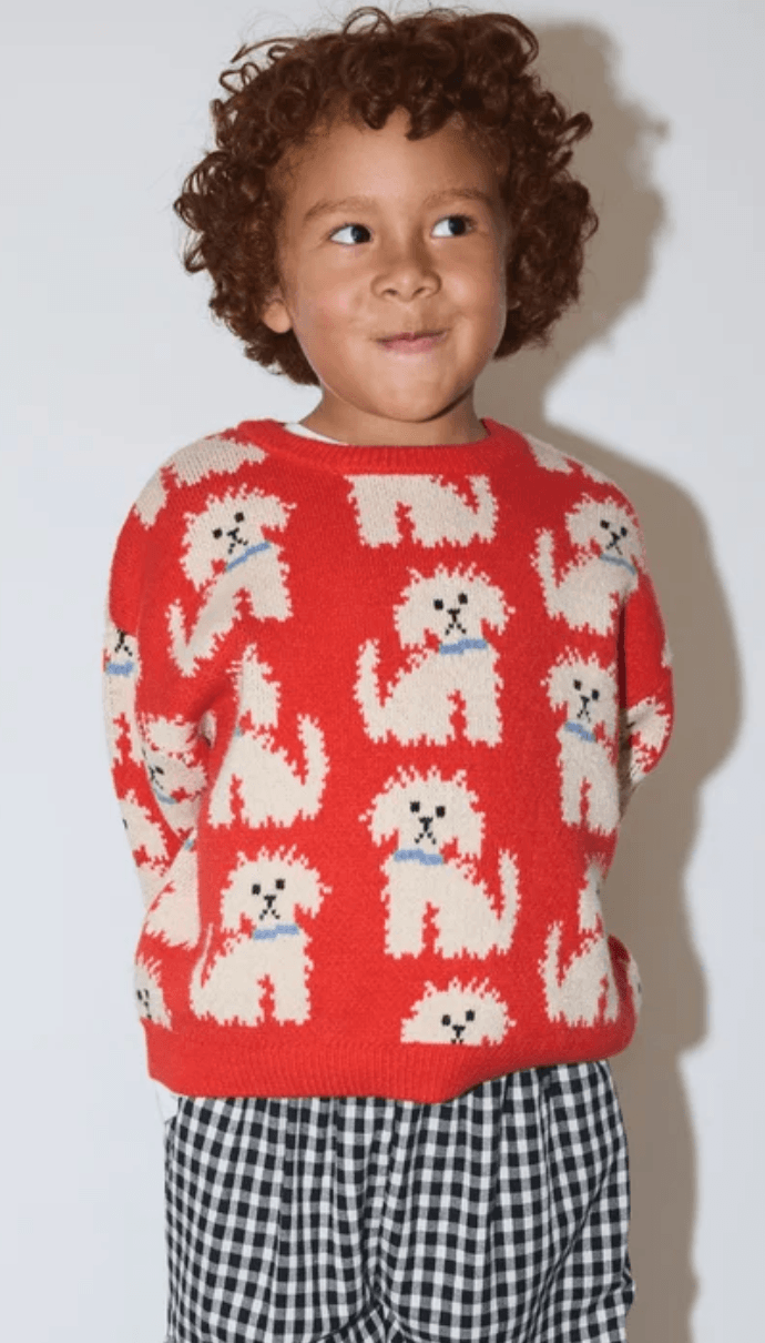 A young child with curly brown hair wearing a red knit sweater with a white dog pattern and black-and-white gingham pants, standing against a plain light background.