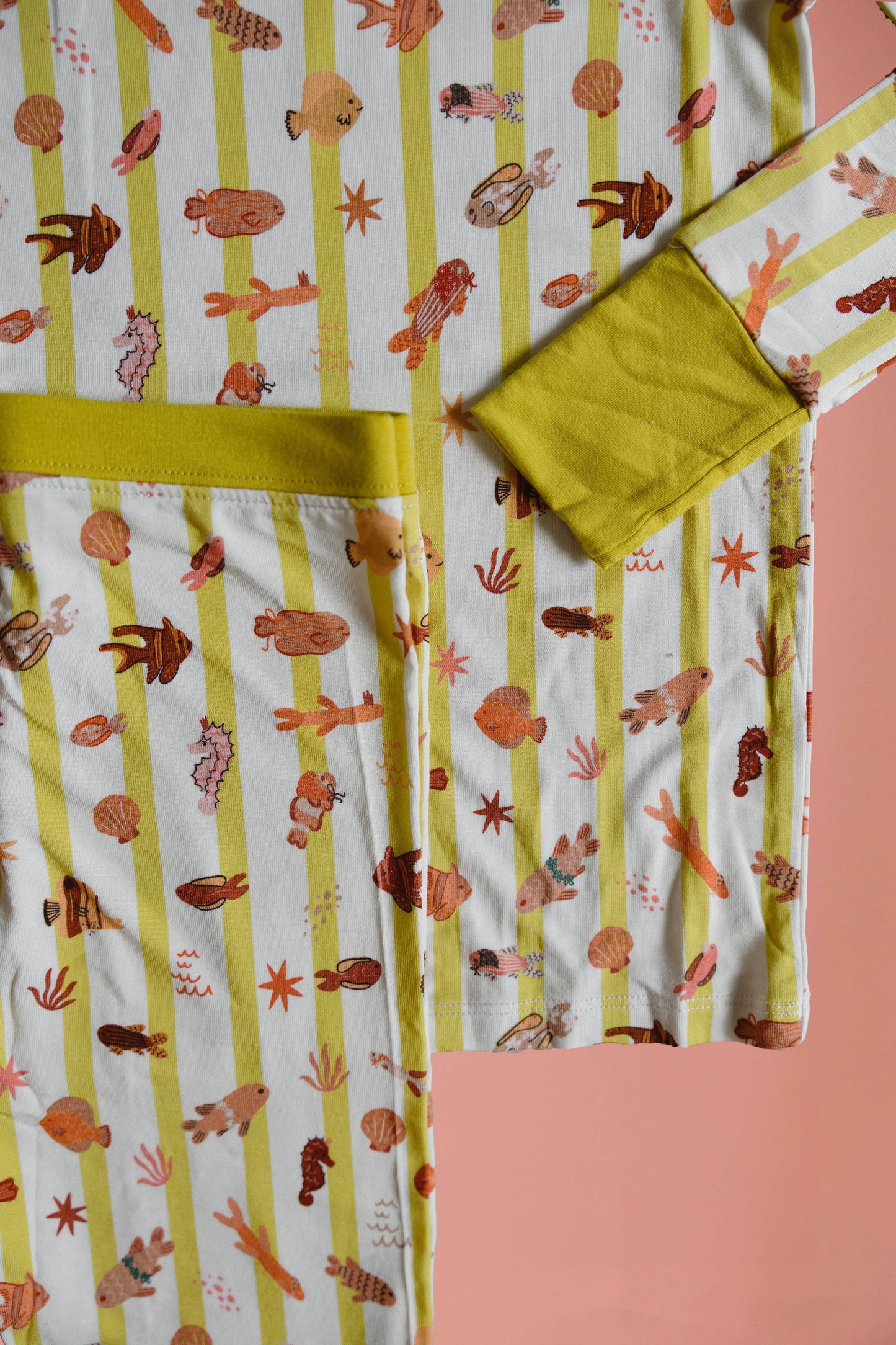 Fancy Fins Two Piece Short Set