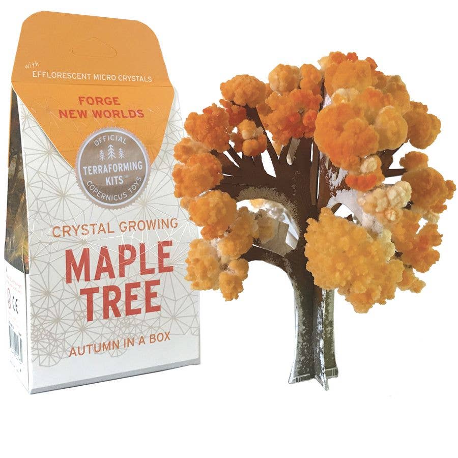 Crystal Growing Maple Tree Kit