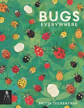 Book cover with illustrations of various bugs on a green background