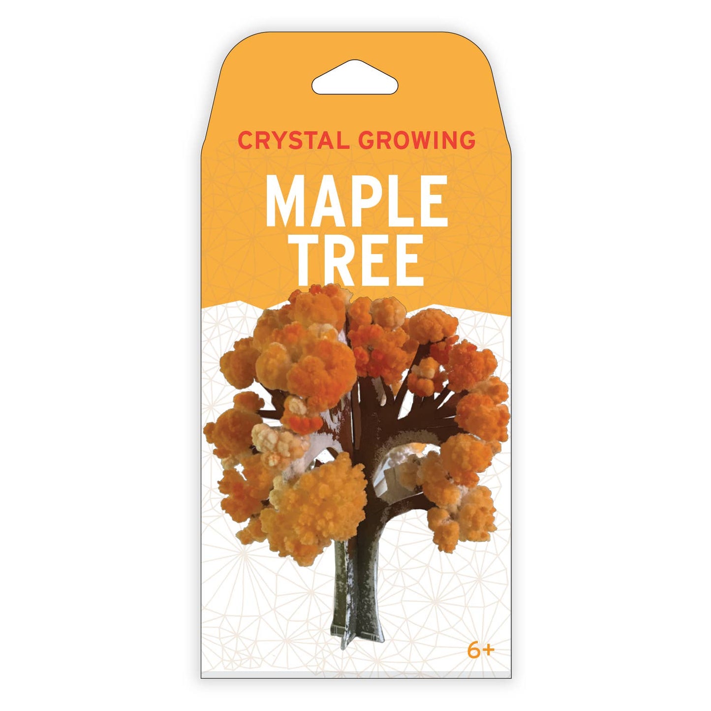 Crystal Growing Maple Tree Kit