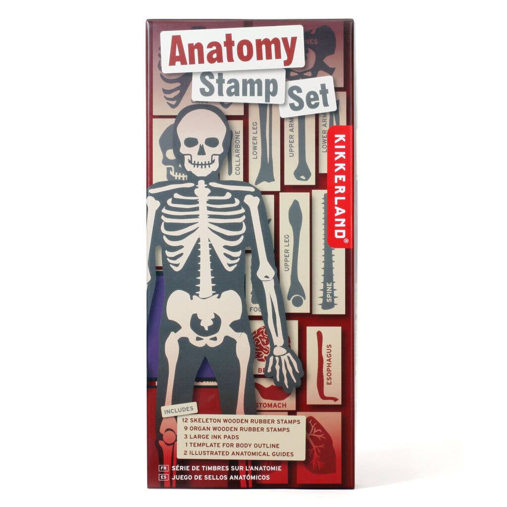 Anatomy Stamps