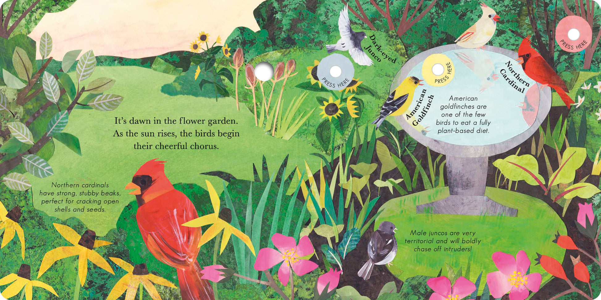 Illustrated children's book page with birds, flowers, and a birdhouse in a garden setting.