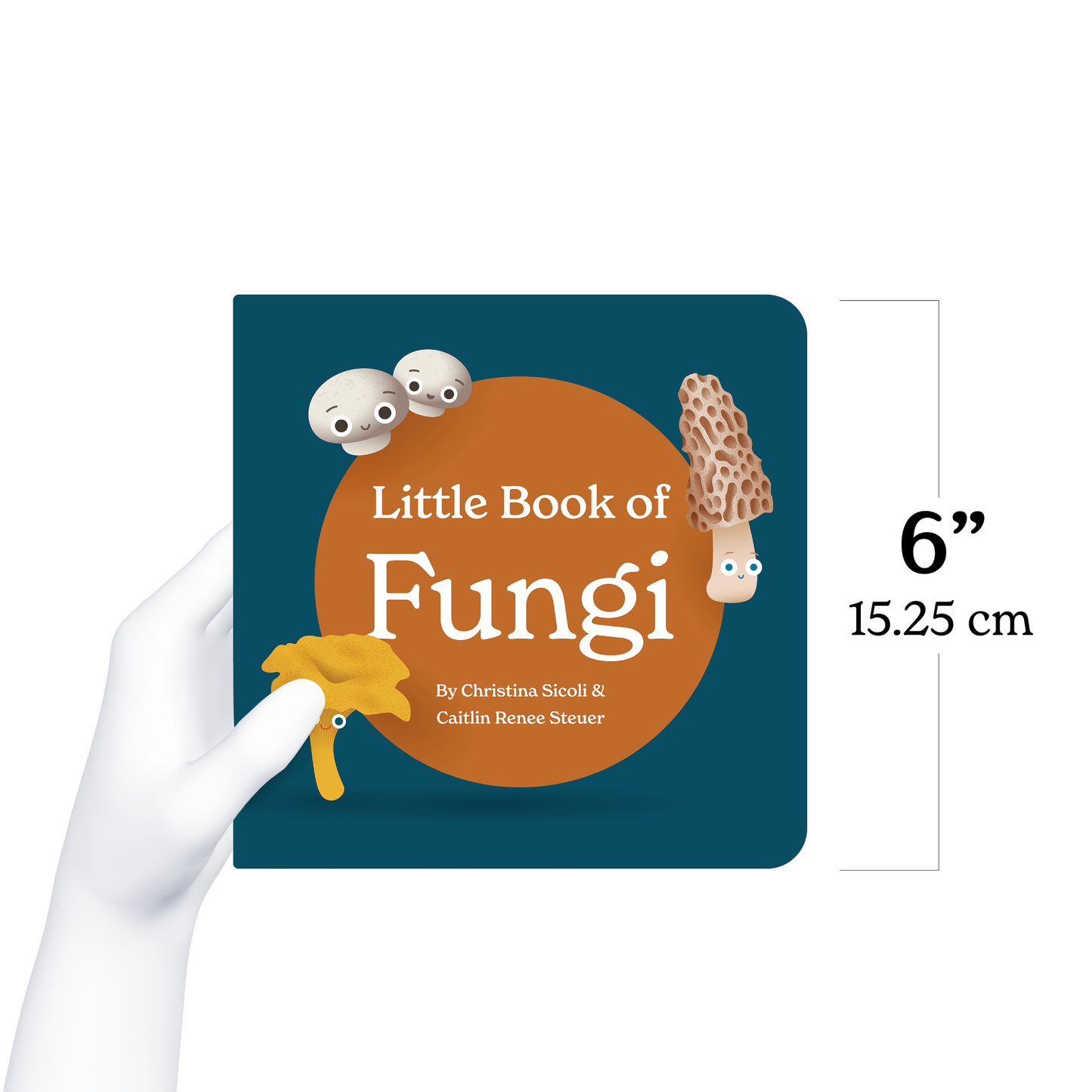 Little Book of Fungi Board Book