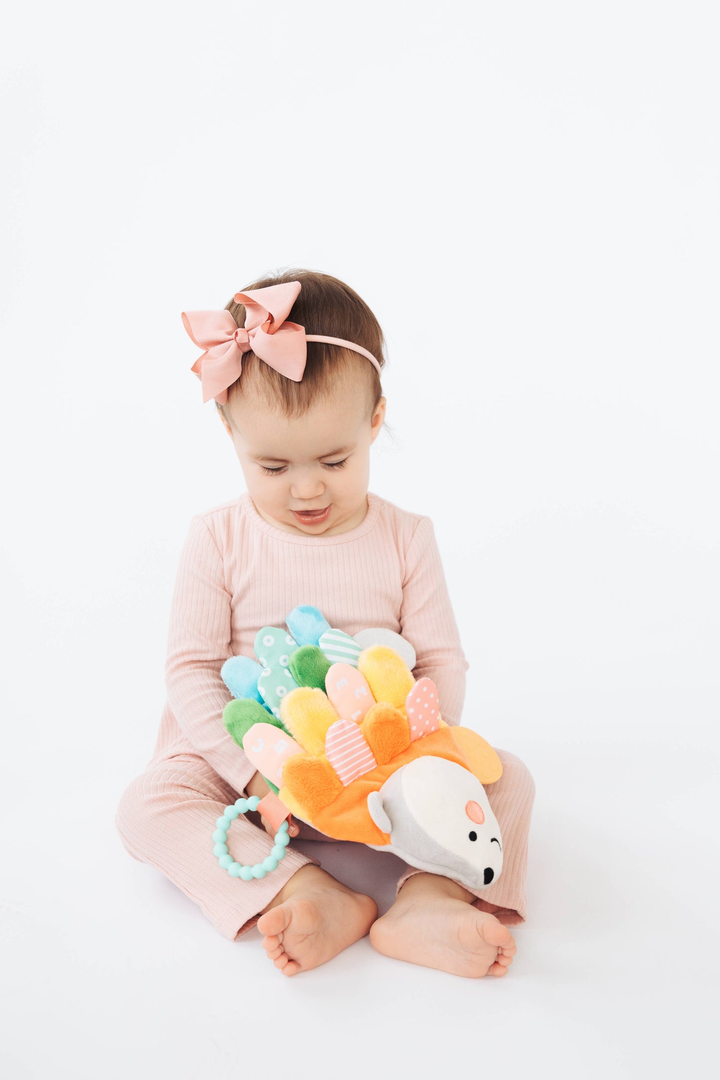 Hedgie Sensory Toy