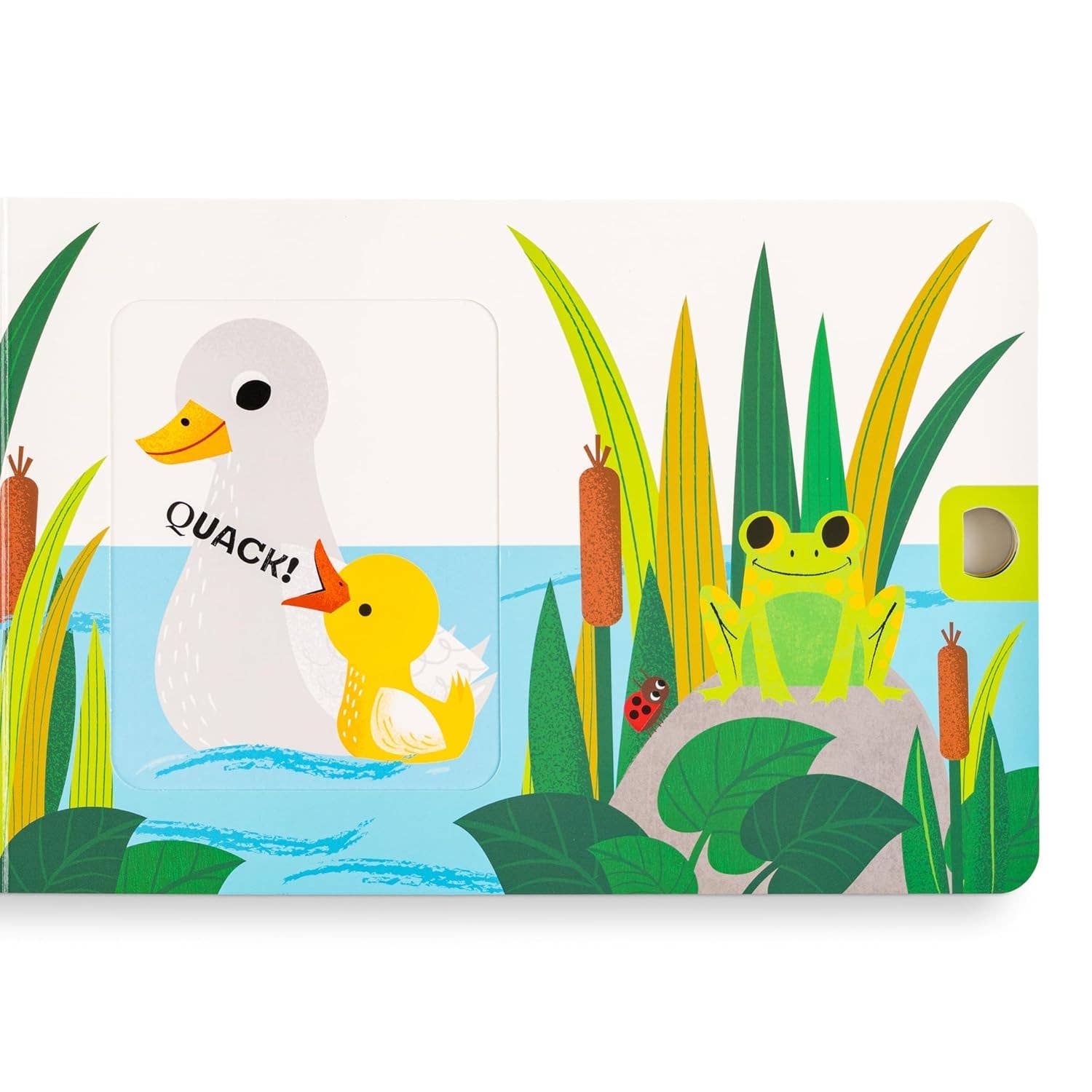 Children's book with illustrations of a duck, duckling, frog, and ladybug in a pond setting.
