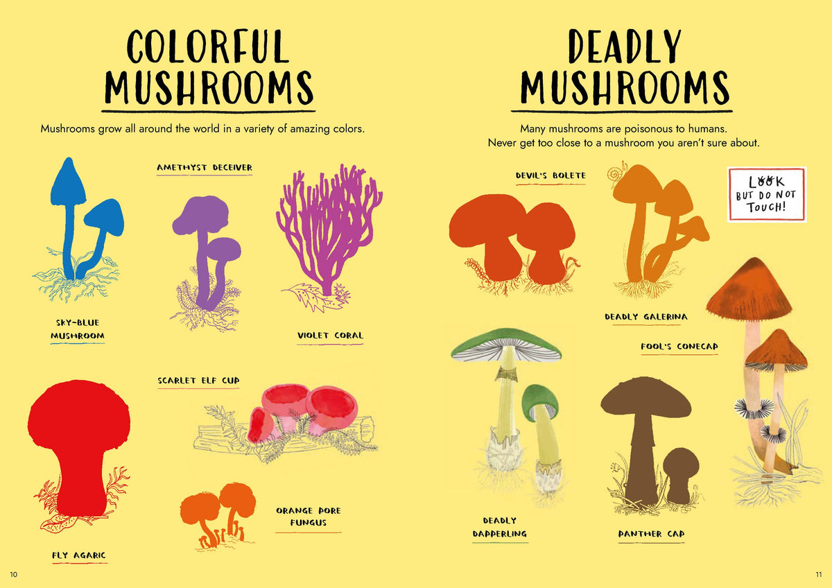 An educational poster titled 'COLORFUL MUSHROOMS' and 'DEADLY MUSHROOMS' on a pale yellow background, showing illustrated mushroom species with labels and warning text.
