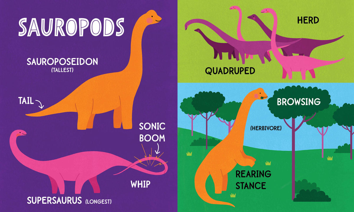 Educational illustration of sauropods with labels on a purple and green background