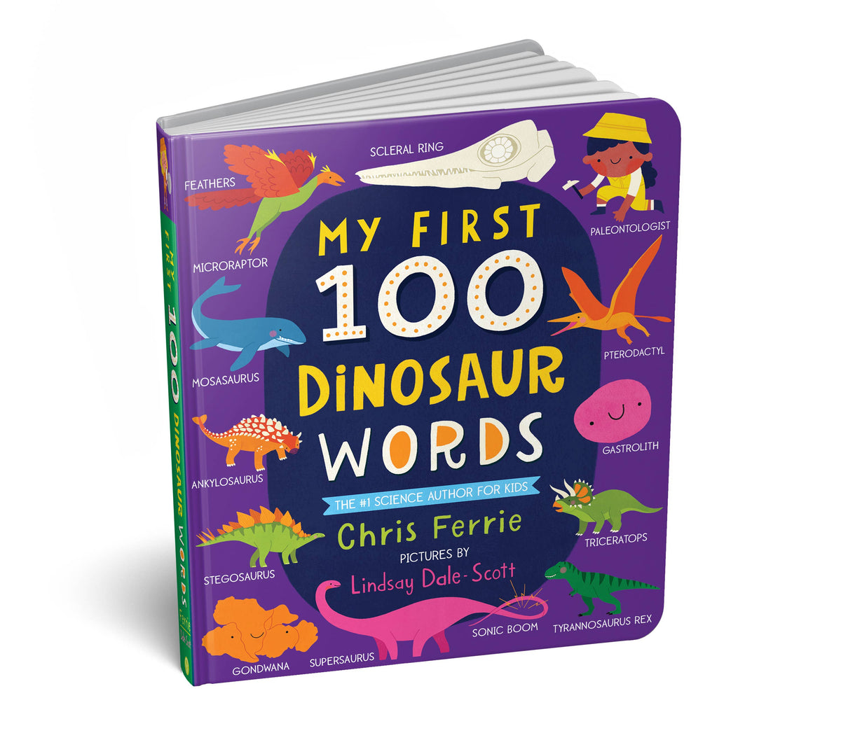 Children's book titled 'My First 100 Dinosaur Words' with colorful dinosaur illustrations on a white background.