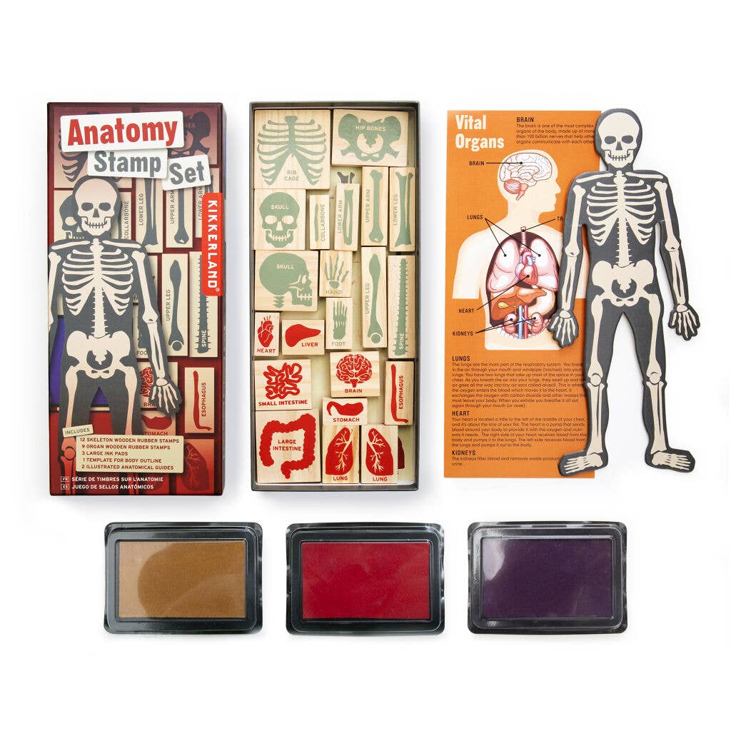 Anatomy Stamps