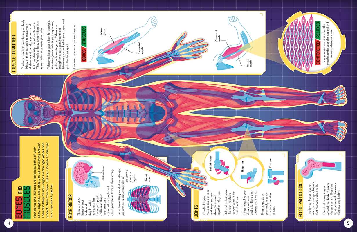 Secrets of the Human Body